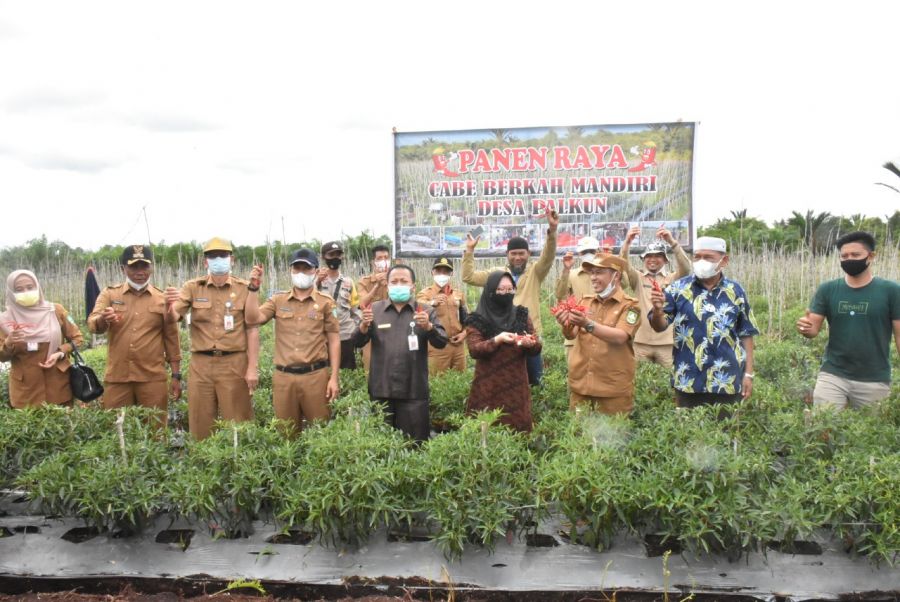 Bagus Santoso Himbau ASN Beli Cabe Petani Lokal