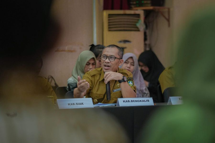 Banggar DPR RI di Riau, Bupati Kasmarni Paparkan Beberapa Hal Penting di Daerah