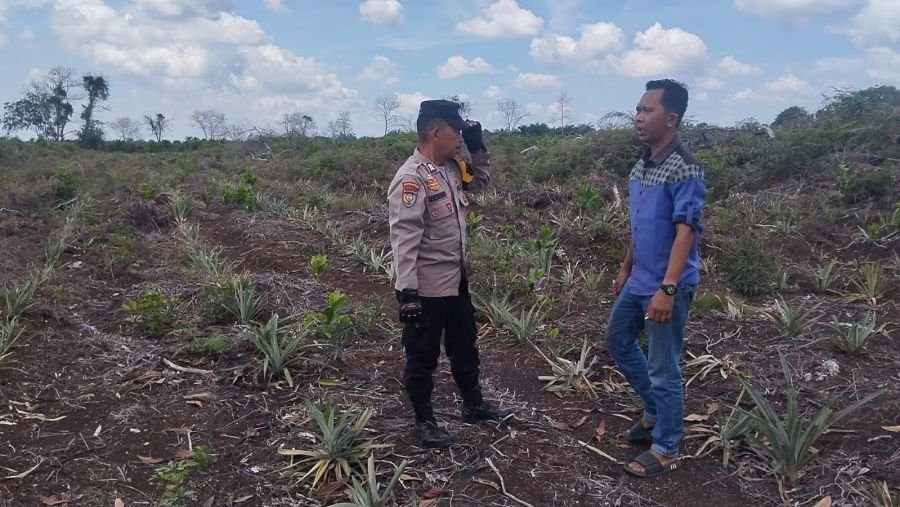 Beri Motivasi kepada Petani, Polsek Bukit Batu Sambangi Kebun Nenas di Tanjung Leban