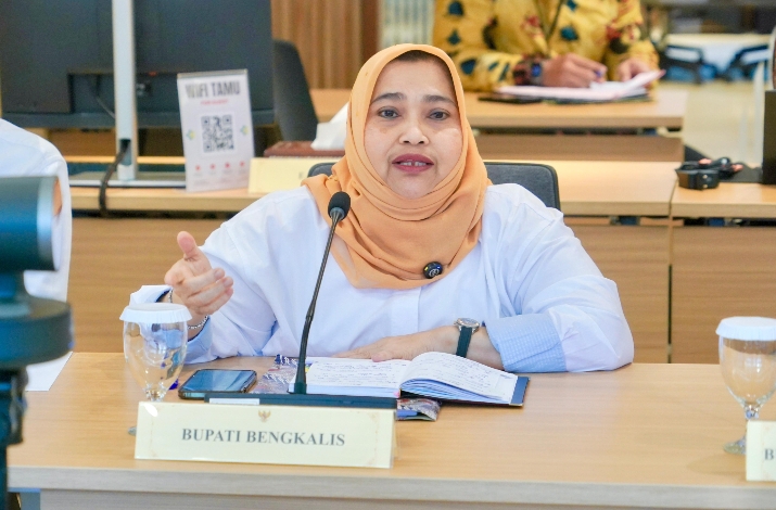Bertemu Menteri Kesehatan Republik Indonesia, Bupati Ajukan Rencana Pembangunan RSUD Pratama
