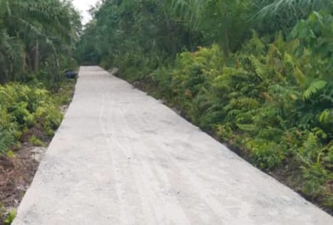 Pemerintah Desa Sukajadi Laksanakan Pembangunan Jalan Beton Perkebunan Masyarakat