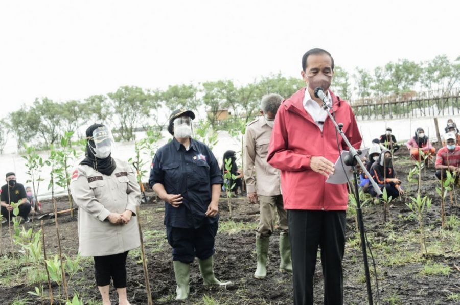 Presiden Jokowi Dukung Pengembangan Ekowisata Mangrove di Pantai Raja Kecik Muntai Barat