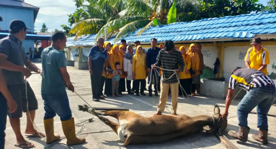 SMPN 1 Bukit Batu Laksanakan Pemotongan 3 Ekor Sapi, Kepsek: Berqurban Merupakan Amal dan Kebaikan
