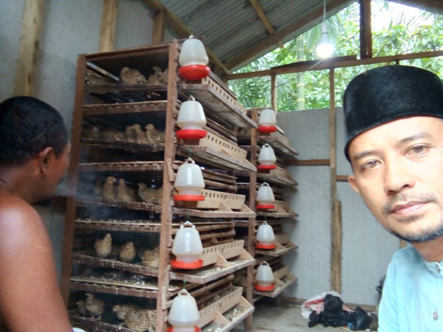 Tunjang Perekonomian Masyarakat, KUBE RT 5 Desa Tenggayun Laksanakan Ternak Burung Puyuh